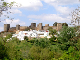 Alcal� de Guada�ra
