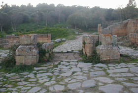 Sala Colonia